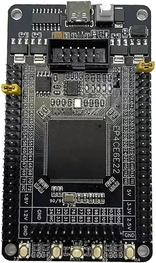 FPGA Development Board